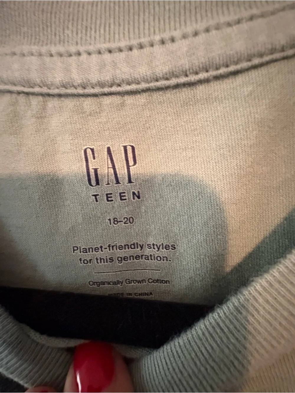 GAP Sage Green Beastie Boys 'Check Your Head' Graphic Tee